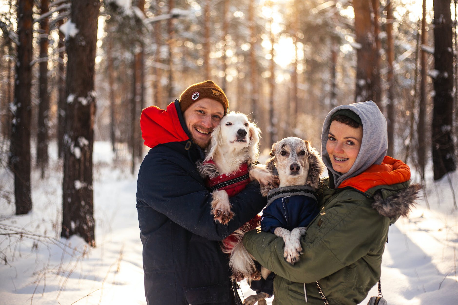 Caring for Canines in Winter: A Complete Guide to Healthy Habits and Remedies